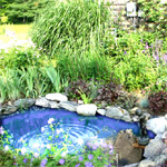 vendita e creazione di laghetti fontane da giardino